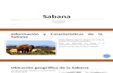 Diapositivas Exposición Sabana. Ecología y Educación Ambiental