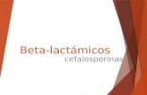 Beta Lactámicos