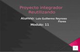 proyecto integrado RECICLANDO