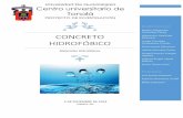 Proyecto de Investigación (1)  integrador.pdf