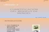 Cuantificación Del Modelo de Mendel