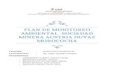 PLAN DE MONITOREO AMBIENTAL.docx