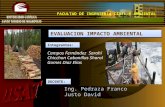 Conflictos Ambientales en El Perú