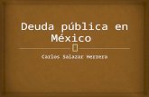 Deuda Pública en México