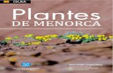 Plantes de Menorca Baixa