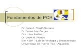 Fundamentos de PCR 2013