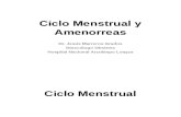 Ginecología - 08 - Ciclo Menstrual y Amenorreas [Modificado]