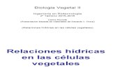 BVII.2. Relacione Hídricas en Las Células Vegetales