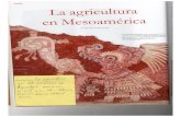 La agricultura en Mesoamérica