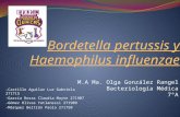 Bordetella Pertussis - Haemophilus Influenzae