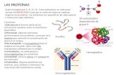 Proteínas y Ácidos Nucleicos