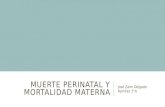 Muerte Perinatal y Mortalidad Materna