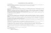 B. 33 Marco Conceptual y Legal Auditoria.doc