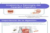 Aparato Digestivo Ppt Dr. Carlos (1)