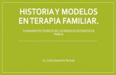 Historia y Modelos en Terapia Familiar
