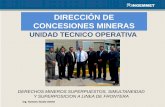 19.- Evaluación Técnica de Expedientes MinerosDerechos Mineros Superpuestos, Simultaneidad Y Superposición a Línea de Frontera