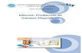 Informe Prod Campos Magneticos (2)