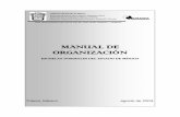 Manual de Organizacion Escuelas Normales