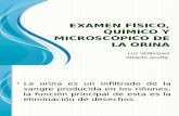 Examen Físico, Químico y microscopico de La Orina