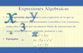 Exp Algebraicas Polinomios