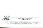 Estructura Informe Licenciados Gestion Ambiental
