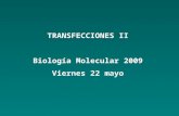 Clase transfecciones