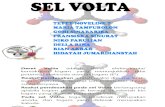 Presentation2 EL VOLTA