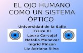 El Ojo Humano Como Un Sistema Óptico