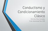 Conductismo y Condicionamiento Clásico Prof. Alice Pérez Fernández Curso: Aprendizaje Psyc 3100.