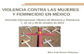 VIOLENCIA CONTRA LAS MUJERES Y FEMINICIDIO EN MÉXICO Amnistía Internacional / Museo de Memoria y Tolerancia 7, 14, 21 y 28 de octubre de 2015 Mtra. Anja.