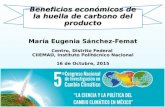 Beneficios económicos de la huella de carbono del producto María Eugenia Sánchez-Femat Centro, Distrito Federal CIIEMAD, Instituto Politécnico Nacional.