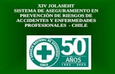 XIV JOLASEHT SISTEMA DE ASEGURAMIENTO EN PREVENCIÒN DE RIESGOS DE ACCIDENTES Y ENFERMEDADES PROFESIONALES - CHILE.