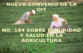 NUEVO CONVENIO DE LA OIT NUEVO CONVENIO DE LA OIT NO. 184 SOBRE SEGURIDAD Y SALUD EN LA AGRICULTURA.