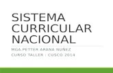 SISTEMA CURRICULAR NACIONAL MGA.PETTER ARANA NUÑEZ CURSO TALLER : CUSCO 2014.