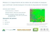 Módulo 2.2 Datos de actividad de monitoreo para las tierras forestales que permanecen como tales (incl. degradación de los bosques) Materiales de capacitación.