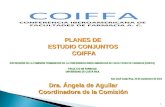 1 XVII REUNI Ó N DE LA COMISI Ó N PERMANENTE DE LA CONFERENCIA IBERO-AMERICANA DE FACULTADES DE FARMACIA (COIFFA) FACULTAD DE FARMACIA UNIVERSIDAD DE COSTA.