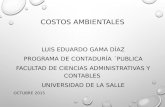 COSTOS AMBIENTALES LUIS EDUARDO GAMA DÍAZ PROGRAMA DE CONTADURÍA ´PUBLICA FACULTAD DE CIENCIAS ADMINISTRATIVAS Y CONTABLES UNIVERSIDAD DE LA SALLE OCTUBRE.