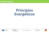 Principios Energ©ticos Principios energ©ticos