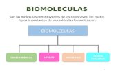 BIOMOLECULAS Son las moléculas constituyentes de los seres vivos, los cuatro tipos importantes de biomoléculas lo constituyen: 1 LIPIDOSLIPIDOS PROTEINASPROTEINASCARBOHIDRATOSCARBOHIDRATOS.