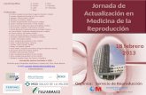 Jornada de Actualización en Medicina de la Reproducción Comité Científico: O. ArmijoP. Silva B. CastroC. González S. LoboJM. Montejo C. Sanz Profesorado: