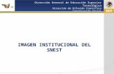Cd. Madero 2009 Dirección General de Educación Superior Tecnológica Dirección de Difusión Científica Comunicación Social IMAGEN INSTITUCIONAL DEL SNEST.