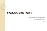 Neutropenia febril Sistemáticas de guardia Hospital Pirovano 2015.