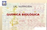 QUÍMICA BIOLÓGICA LIC. NUTRICIÓN 2015.  Área de Química Biológica - Universidad Nacional de San Luis Blog para.
