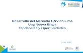 Desarrollo del Mercado GNV en Lima Una Nueva Etapa Tendencias y Oportunidades 23.11.2015.