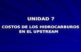 UNIDAD 7 UNIDAD 7 COSTOS DE LOS HIDROCARBUROS COSTOS DE LOS HIDROCARBUROS EN EL UPSTREAM EN EL UPSTREAM.