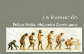 Felipe Mejia, Alejandro Dominguez.  El cambio de una especie a traves del tiempo. La palabra evolución deriva del latin, y significa “desdoblamiento”