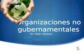 Organizaciones no gubernamentales Por: Felipe velasquez.