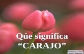 Qúe significa “CARAJO”. Según la Real Academia Española, "CARAJO" es la palabra con la que se nominaba a la pequeña canastilla que se encontraba en lo.