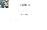 Robótica Proyecto de Fin de Curso Camarón Raquel Martínez Rodríguez.