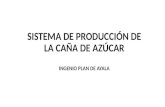 SISTEMA DE PRODUCCIÓN DE LA CAÑA DE AZÚCAR INGENIO PLAN DE AYALA.